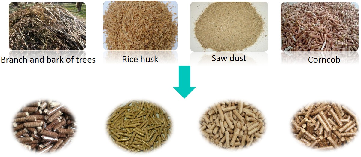 Fuel Pellets Made by Wood Pellet Making Machine