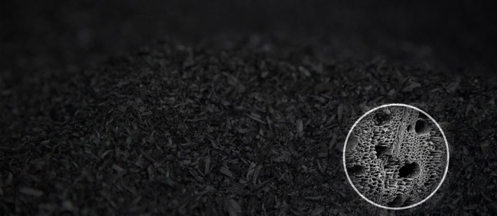 biochar