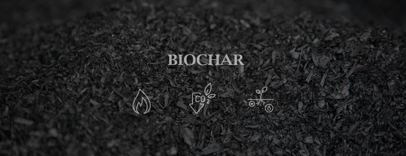 Pyrolysis-Biochar